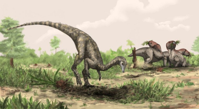 nyasasaurus-big